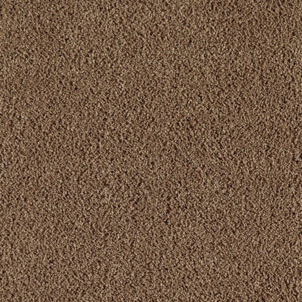 Mohawk Wish Come True Reclaimed Rustic Collection