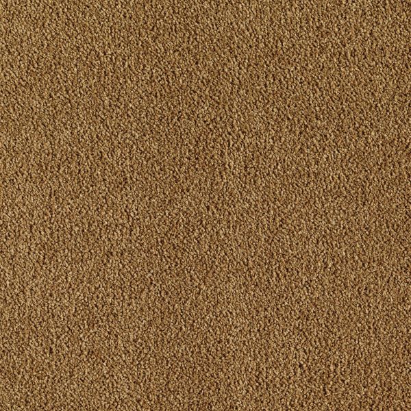 Mohawk Indescribable Golden Tapestry Collection