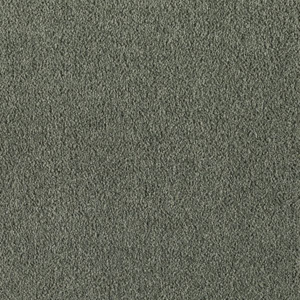 Mohawk Indescribable Moss Tint