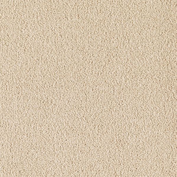 Mohawk Indescribable Seagrass Collection
