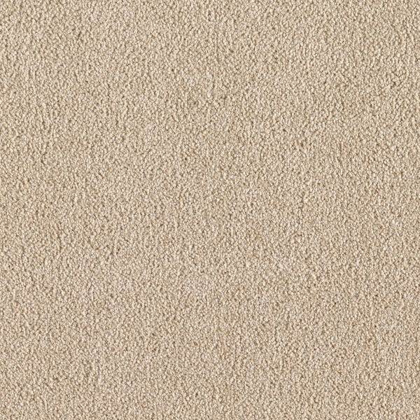 Mohawk Indescribable Bamboo Reflection Collection