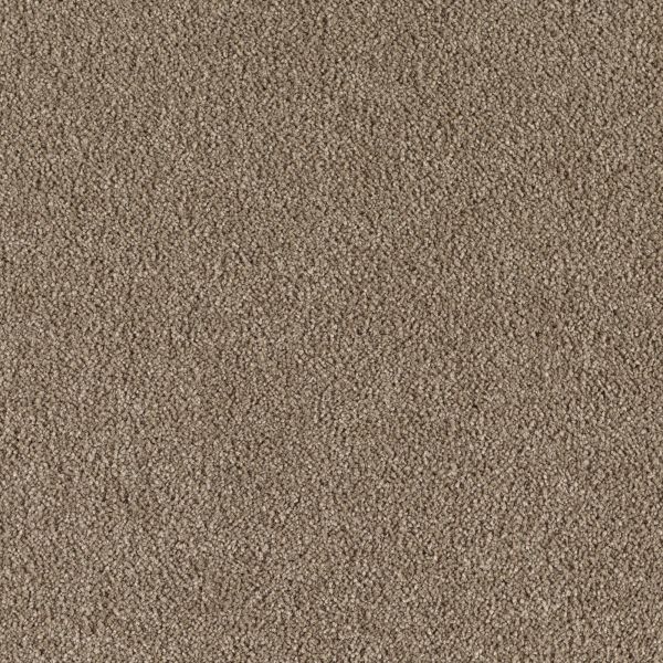 Mohawk Indescribable Lush Suede Collection