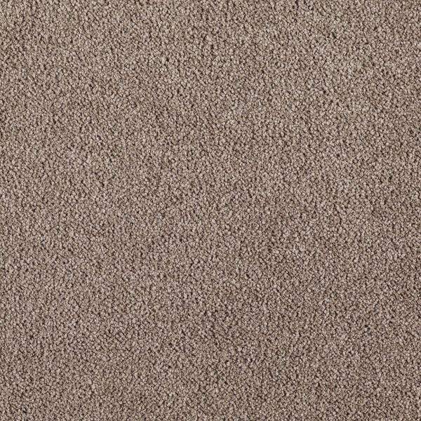 Mohawk Indescribable Crisp Texture Collection