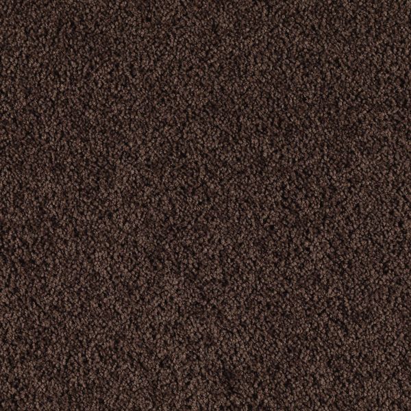 Mohawk Instant Attraction Dark Cocoa Collection