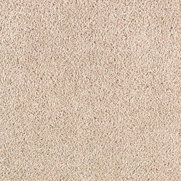 Mohawk Simply Spectacular Shoreline Collection