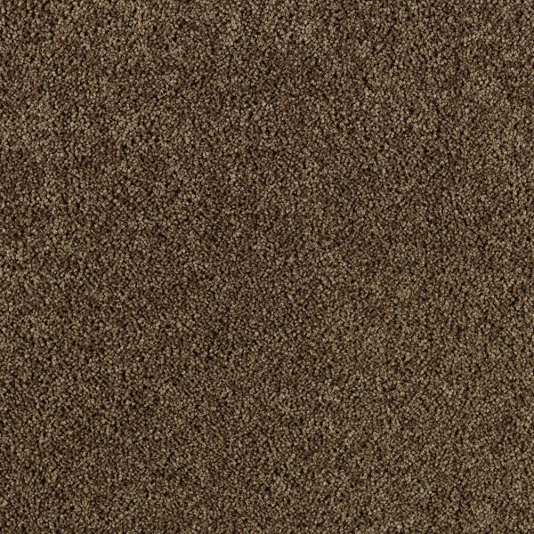 Mohawk Simply Spectacular Nutmeg Collection