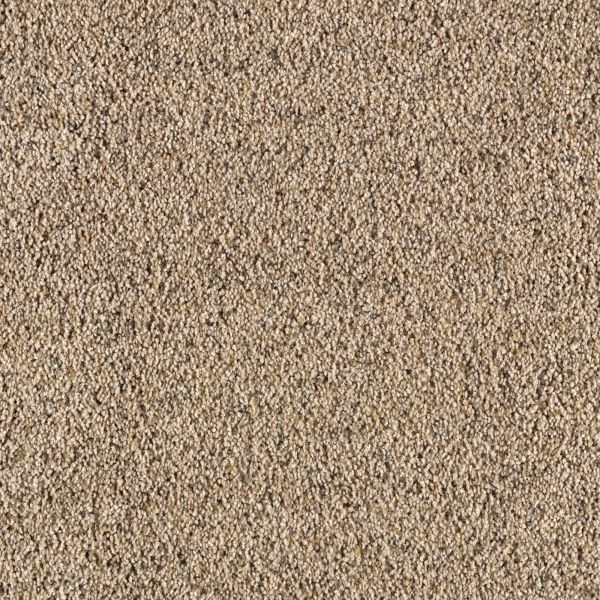 Mohawk Remarkable Beauty Roasted Chestnut Collection