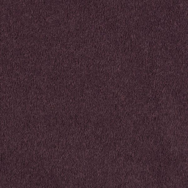 Mohawk Object Of Desire Violet Sachet Collection