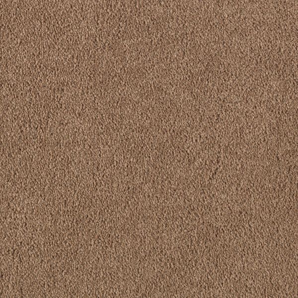 Mohawk Object Of Desire Rich Maple Collection