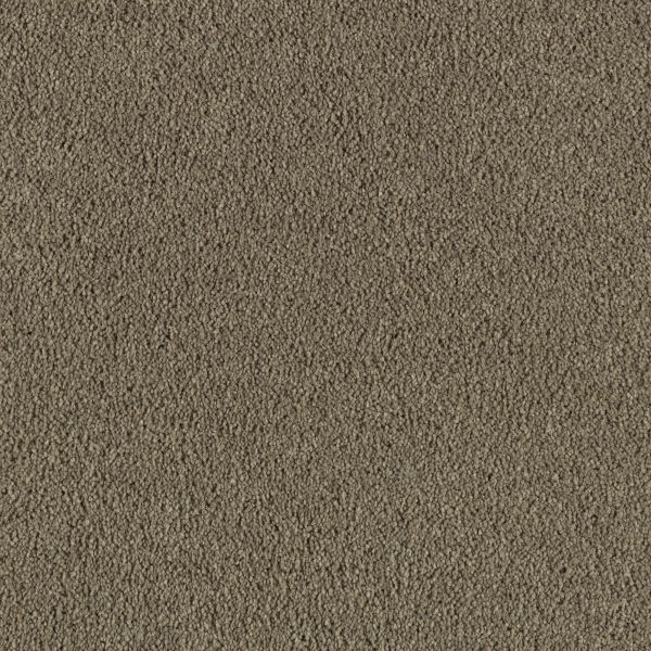 Mohawk Object Of Desire Hearth Beige Collection