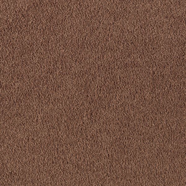 Mohawk Object Of Desire Cottage Clay Collection