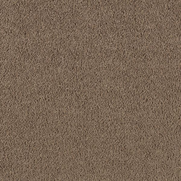 Mohawk Object Of Desire Driftwood Collection