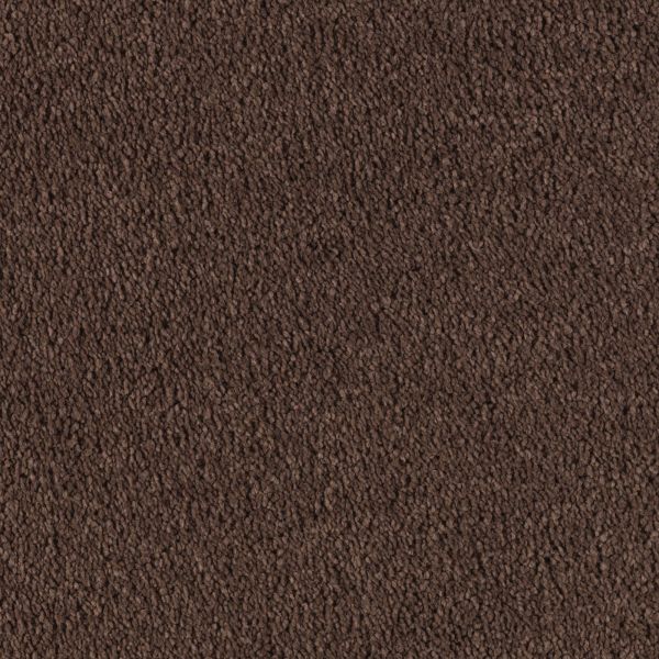 Mohawk Object Of Desire Mahogany