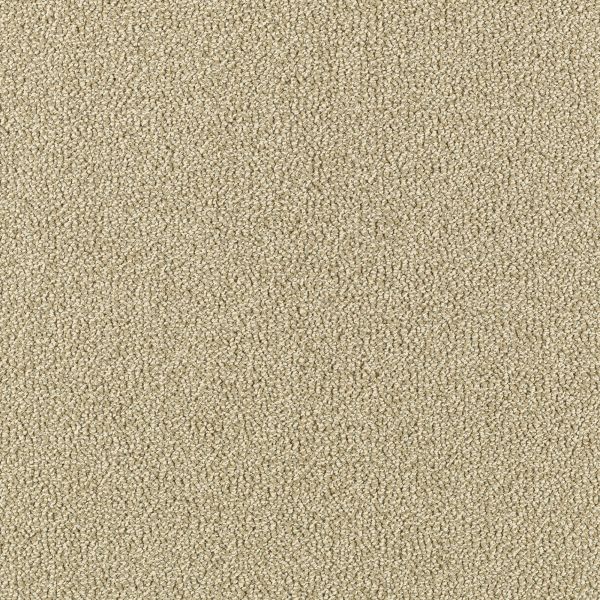 Mohawk Modern Always Toasted Almond Collection