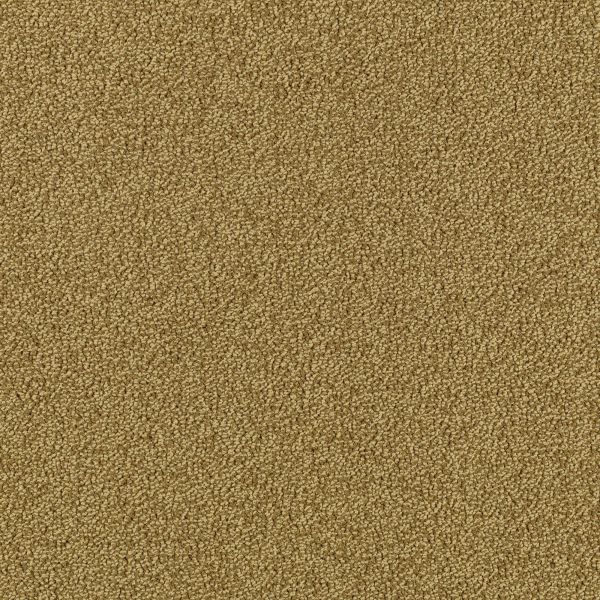 Mohawk Modern Always Curry Powder