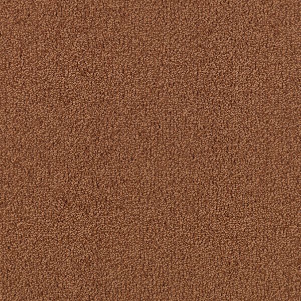Mohawk Modern Always Sundried Tomato Collection