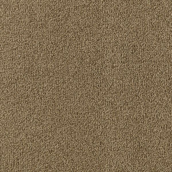 Mohawk Modern Always Vintage Bronze Collection