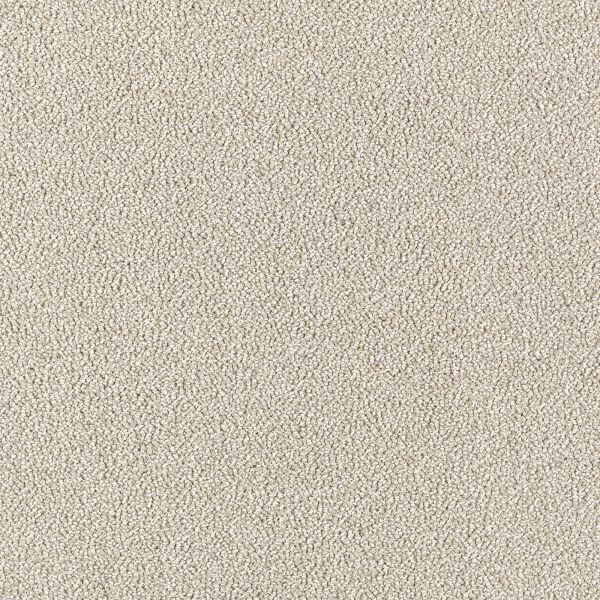 Mohawk Modern Always Eggshell Beige Collection
