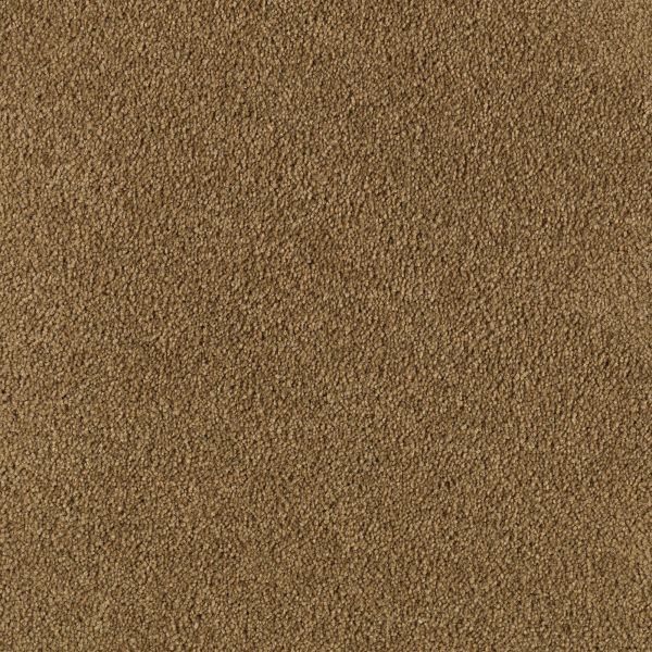 Mohawk Beautiful Destiny Barn Swallow