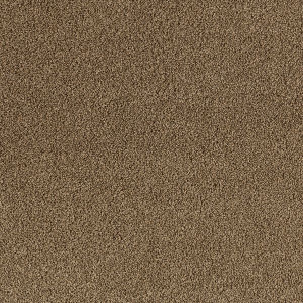 Mohawk Beautiful Destiny Grande Oak