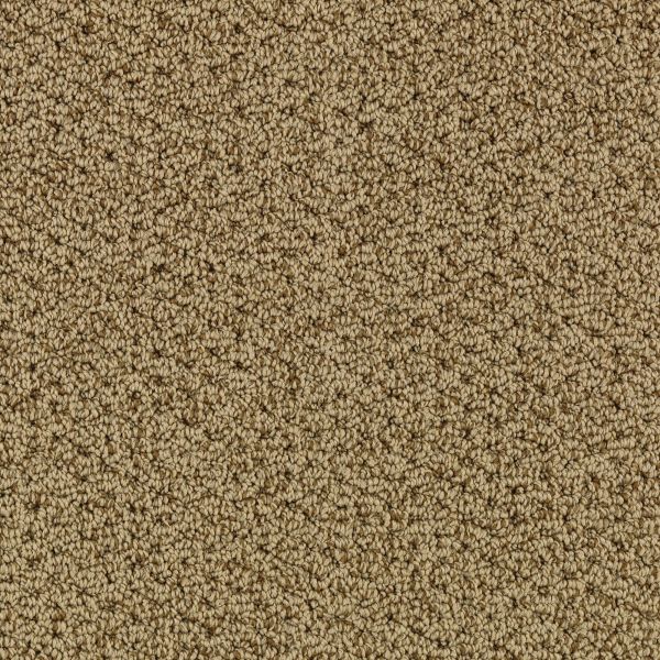 Mohawk Tonal Charm Autumn Brown Collection