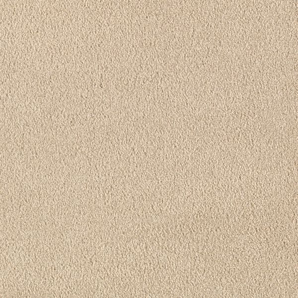 Mohawk Maison Seashell Collection
