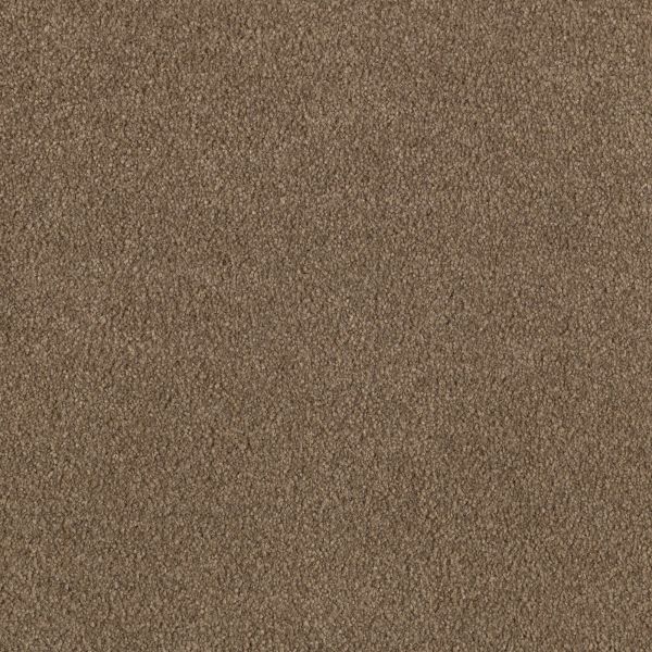 Mohawk Maison Safari Plains Collection