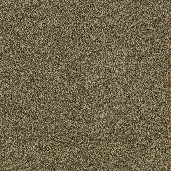 Mohawk Churchill Ivy Border Collection