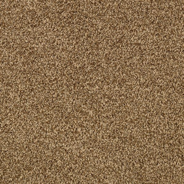 Mohawk Churchill Autumn Brown Collection