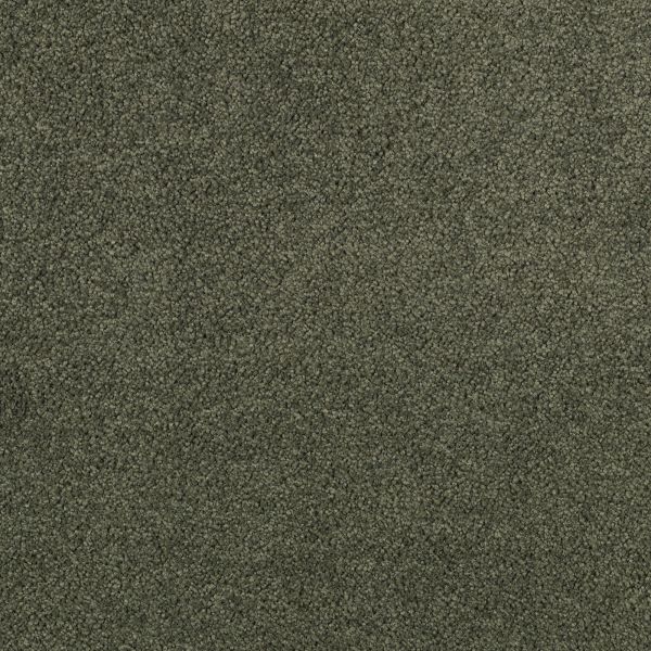 Mohawk Elegantly Soft Pine Branch Collection
