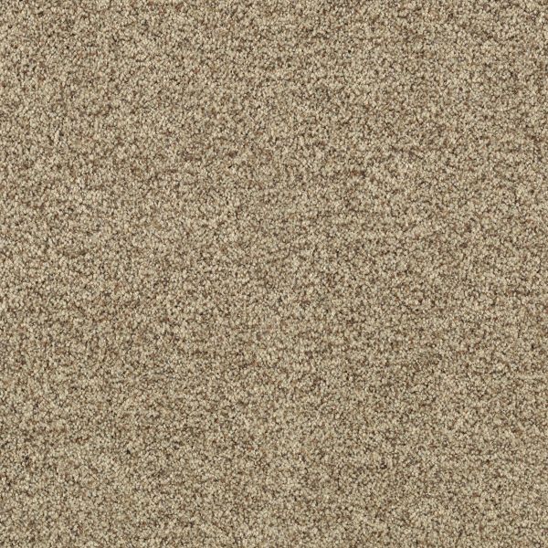 Mohawk Calming Influence Terra Nueva Collection
