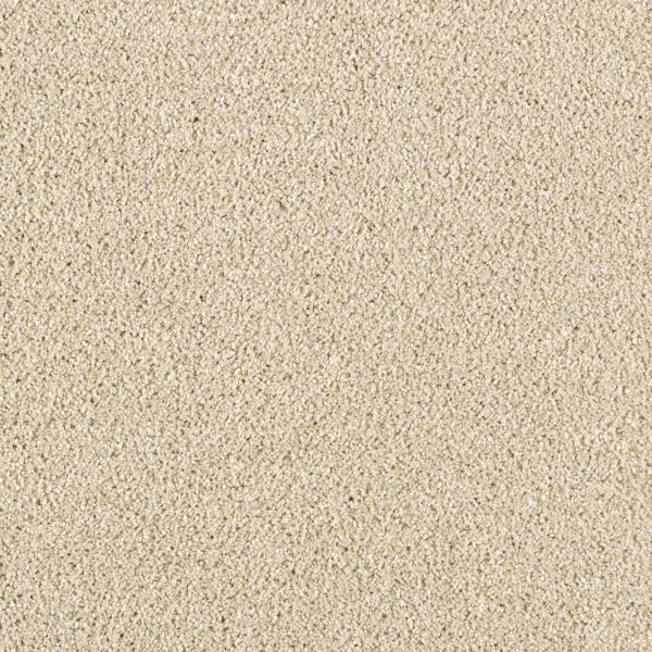 Mohawk Modern Vision Winter Wheat Collection