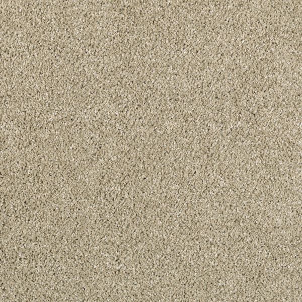 Mohawk Modern Vision Butter Pecan Collection