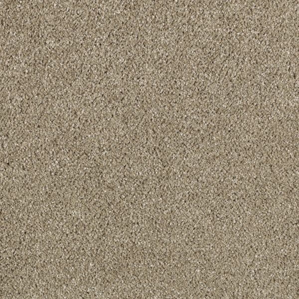 Mohawk Modern Vision Rich Maple Collection