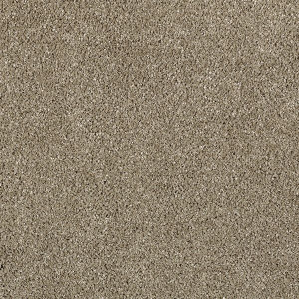 Mohawk Modern Vision Allspice