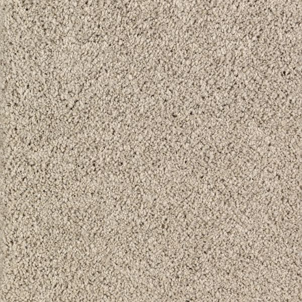Mohawk Sassy Chic Tomorrow's Taupe Collection