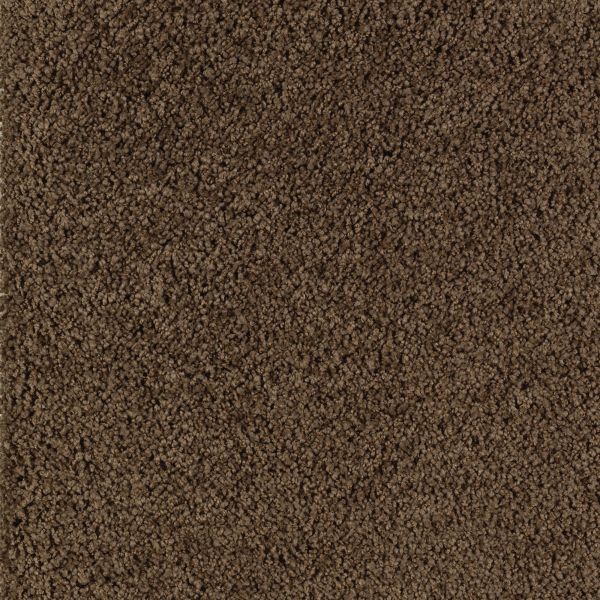 Mohawk Sassy Chic Burma Teak Collection