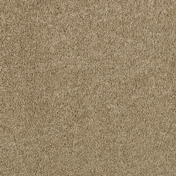 Mohawk Delightful Charm Sequoia Collection