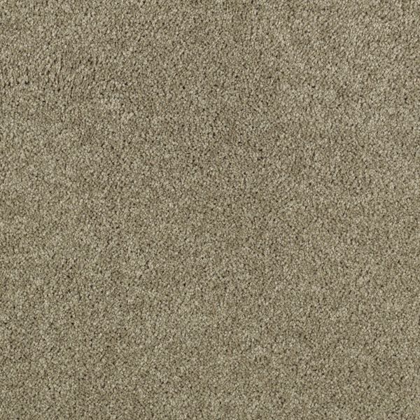 Mohawk Delightful Charm Library Oak Collection