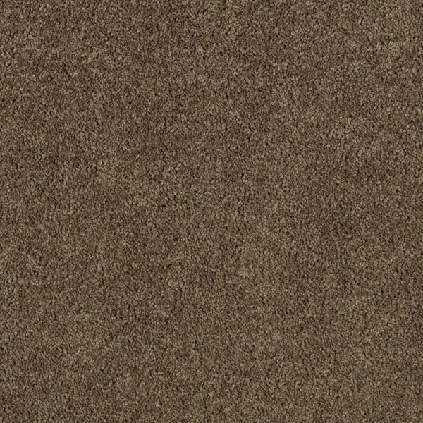 Mohawk Delightful Charm Raw Sienna Collection