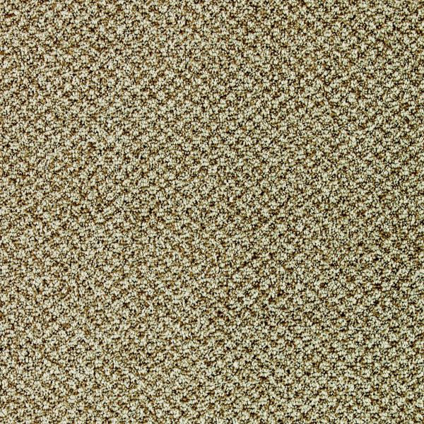 Mohawk Cambridge Manor Contempo Collection