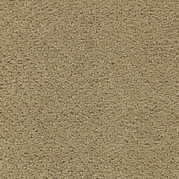 Mohawk Greenwich Estate Universal Khaki Collection