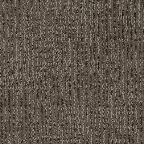 Mohawk Fired Up Tile Fossil Collection