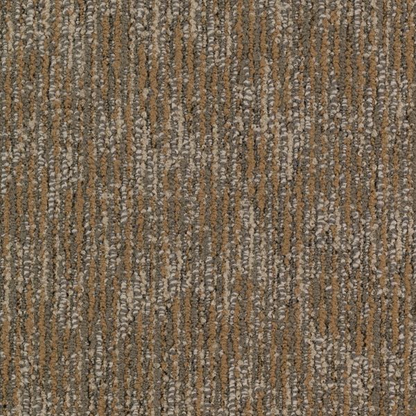Mohawk Surface Purpose Enticing Texture Collection