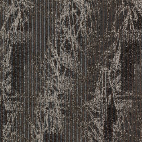 Mohawk Transforming Spaces Visual Edge Collection
