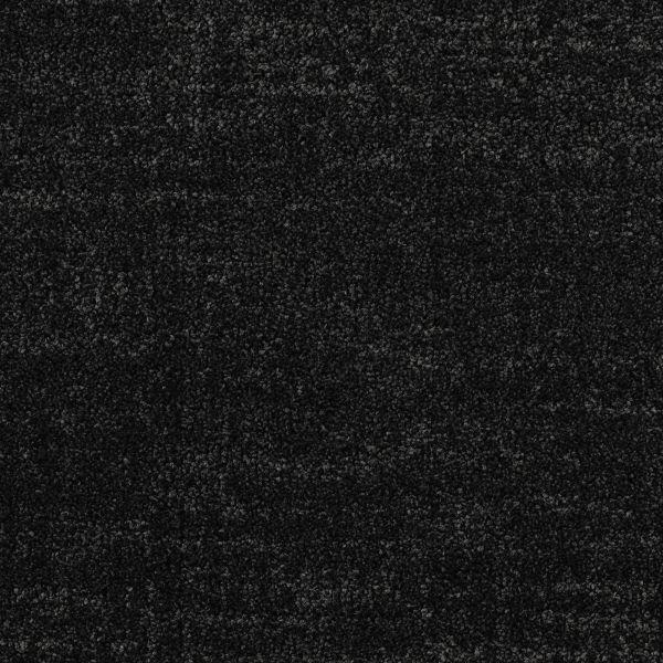 Mohawk Savvy Nature Black Beauty