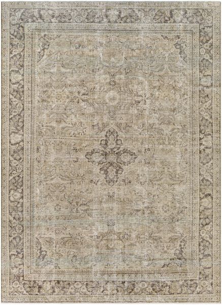Surya Antique One Of A Kind Aooak-1127 8'9" x 12'4" Collection