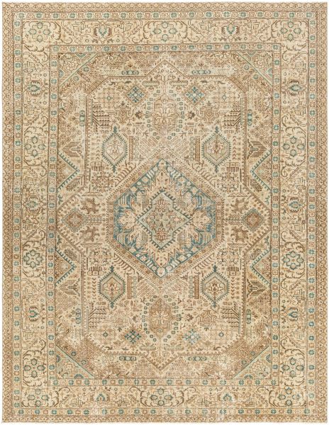 Surya Antique One Of A Kind Aooak-1137 8'6" x 11'0" Collection