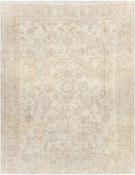 Surya Antique One Of A Kind Aooak-1161 8'3" x 10'9" Collection