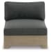 Citrine Park - Brown - Armless Chair W/Cushion